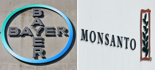Les logos de Bayer et de Monsanto